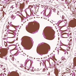 image: image from z test 4