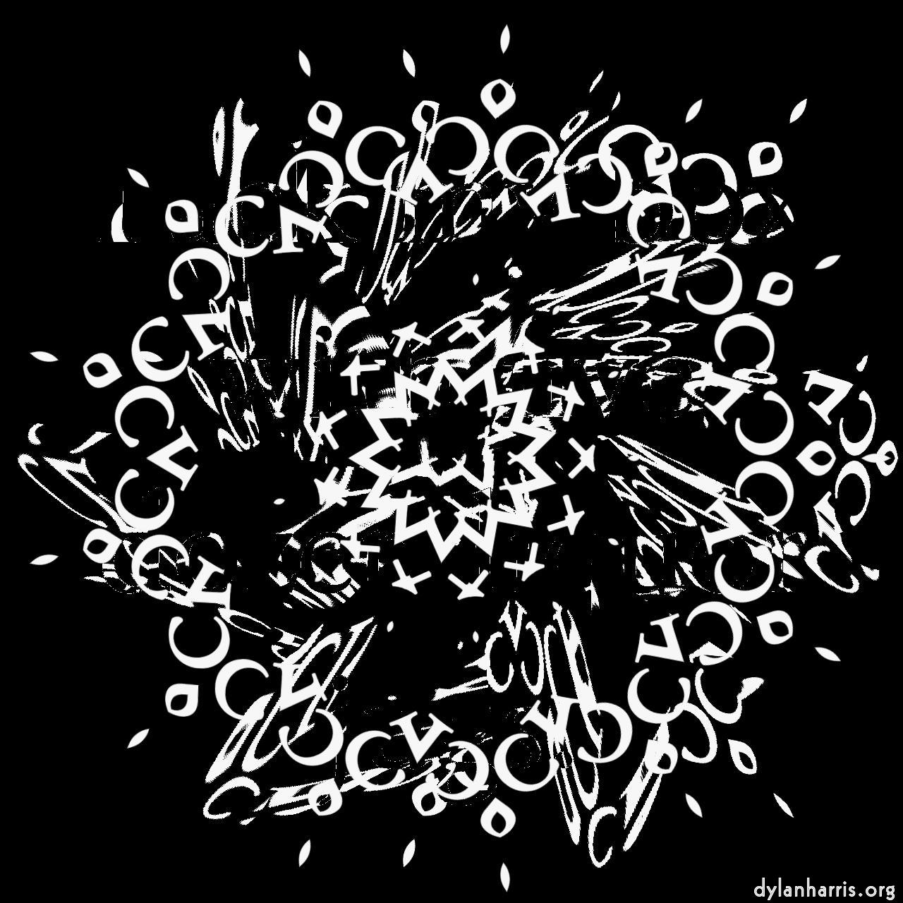 image: zygotes :: flower&nbsp;1