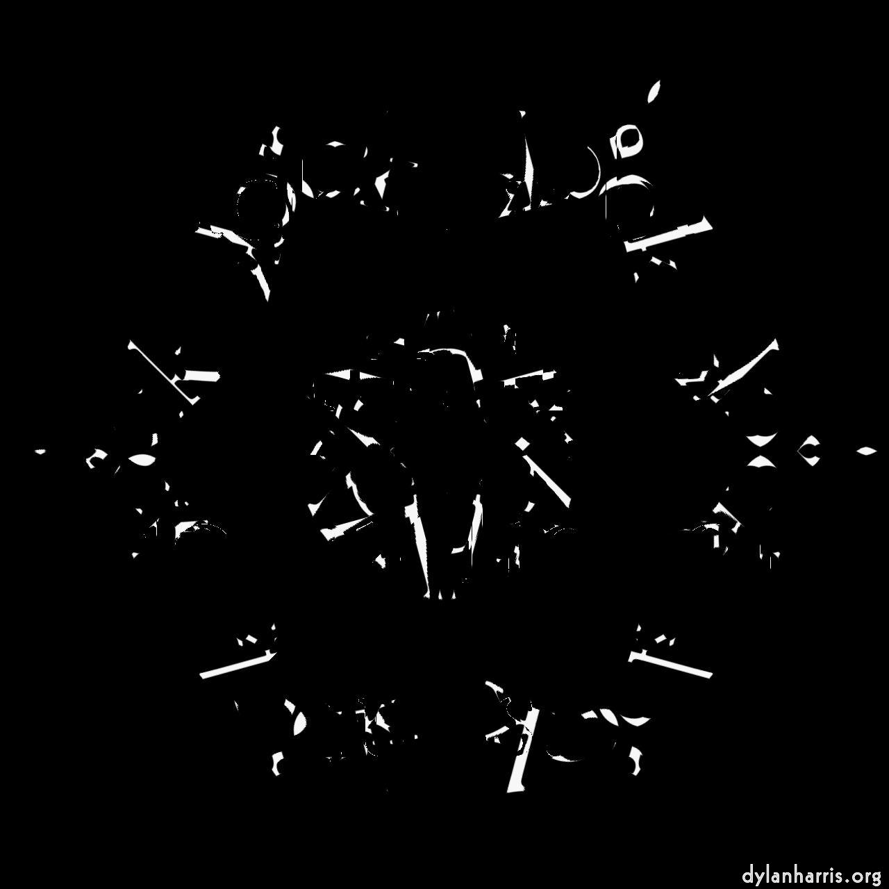 image: zygotes :: zygote&nbsp;15