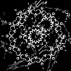 image: image from zygotes