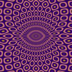 image: image from zzz 1