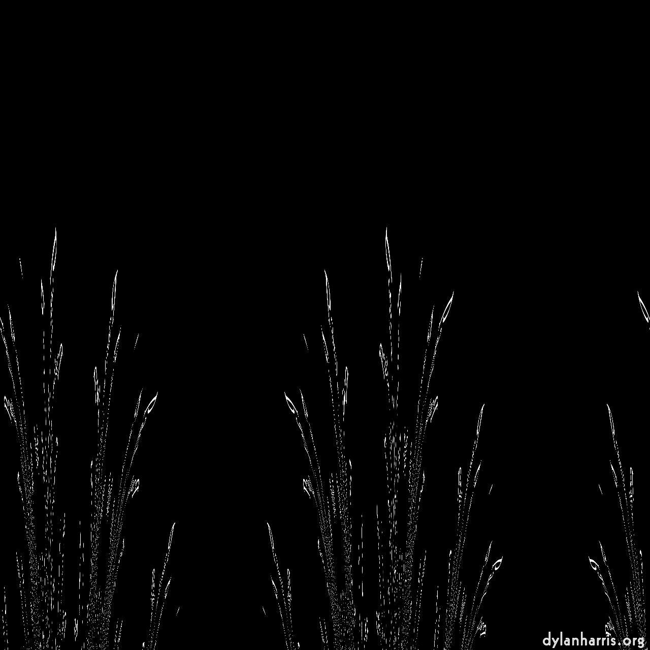 image: zzz 2 :: polariser&nbsp;1