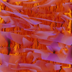 Image: image from part 2