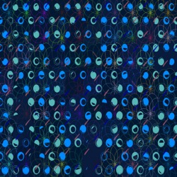 Image: image from part 4