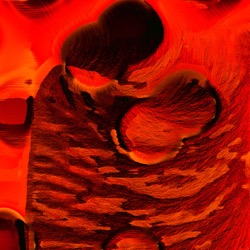 image: image from general examples (press action)