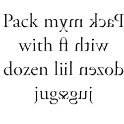 image from mirror and warps efx
