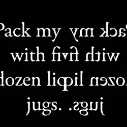 image from mirror and warps efx