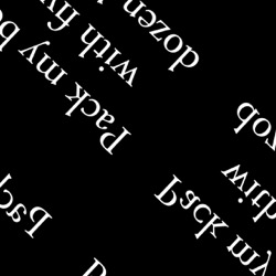 image from mirror and warps efx