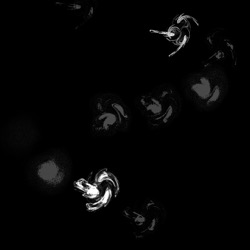 Image: image from time particles examples