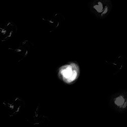 Image: image from time particles examples