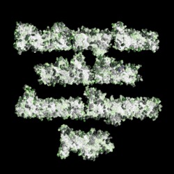 image: image from shapes abstractions textures