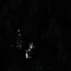 Image: image from abstract natural media - vector