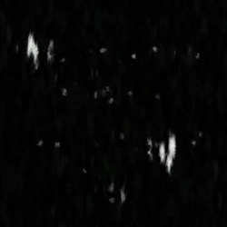 Image: image from abstract natural media - vector