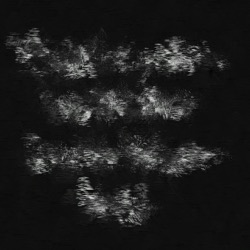 Image: image from abstract natural media - vector