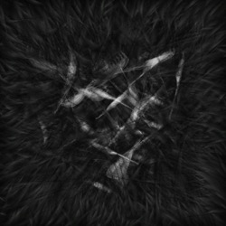 Image: image from abstract natural media - vector