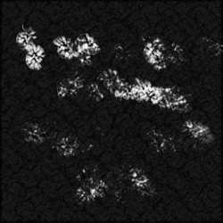 Image: image from abstract natural media - vector