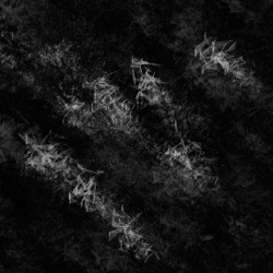 Image: image from abstract natural media - vector