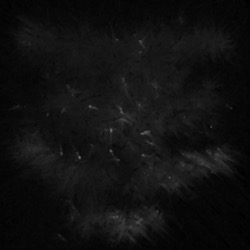 Image: image from abstract natural media - vector