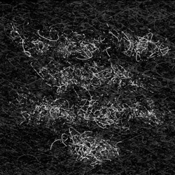 Image: image from abstract natural media - vector