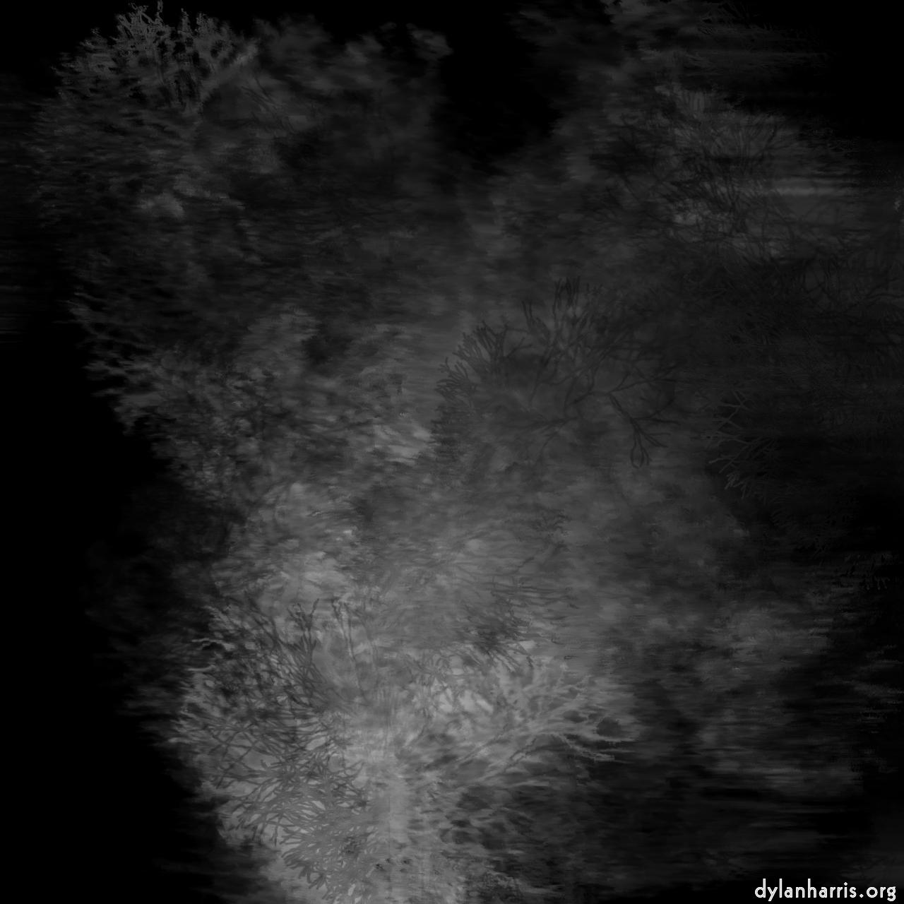 Image: abstract shapes - vector :: watercolour&nbsp;branches