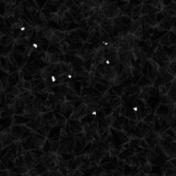 Image: image from abstract shapes - vector