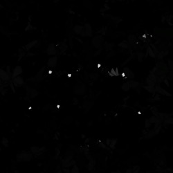 Image: image from abstract shapes - vector