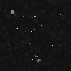 Image: image from abstract shapes - vector