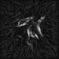 Image: image from abstract shapes - vector