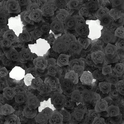 Image: image from abstract shapes - vector