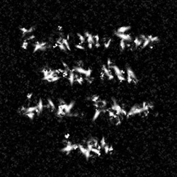 Image: image from abstract shapes - vector