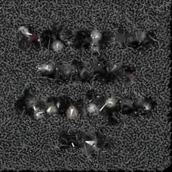 Image: image from abstract shapes - vector