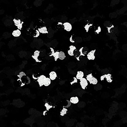 Image: image from abstract shapes - vector