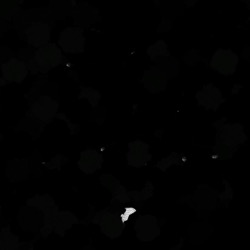 Image: image from abstract shapes - vector