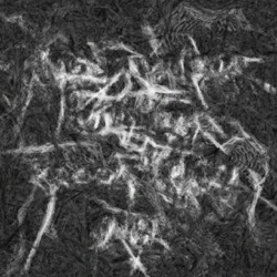 Image: image from abstract shapes - vector