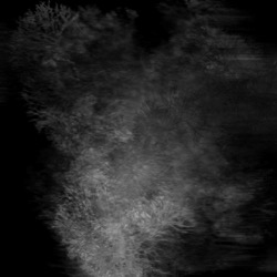 Image: image from abstract shapes - vector