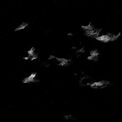 Image: image from abstract styles - vector raster