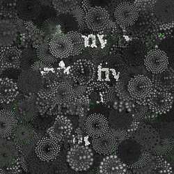 Image: image from abstract styles - vector raster