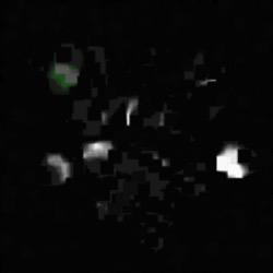 Image: image from abstract styles - vector raster