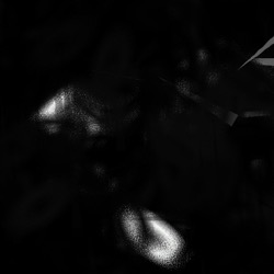 Image: image from abstract styles - vector raster