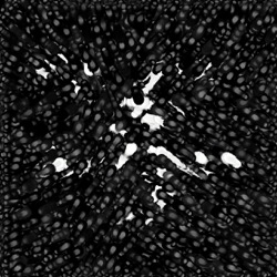 Image: image from abstract styles - vector raster