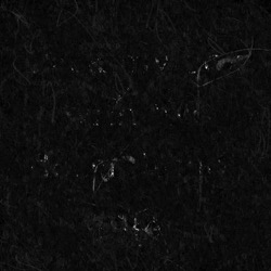 Image: image from abstract styles - vector raster