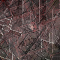 Image: image from animated procedural