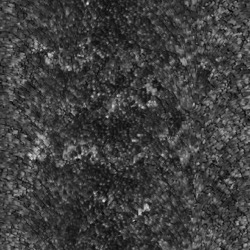 Image: image from image render styles