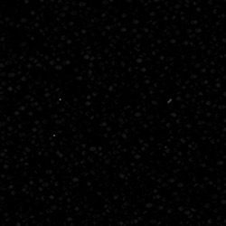 image: image from image render styles - vector