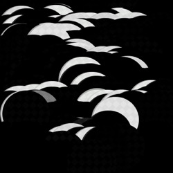 image: image from region draw manual (use mouse or pen)