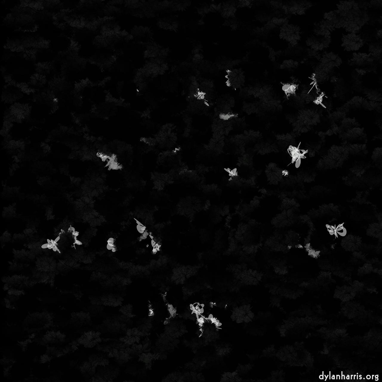 image: shape brush :: carnations