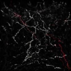 Image: image from natural media extended