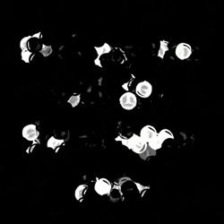 Image: image from natural media extended