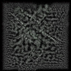 Image: image from natural media extended