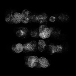 Image: image from natural media extended